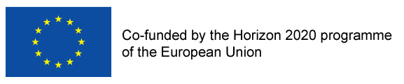 Screenshot of the website